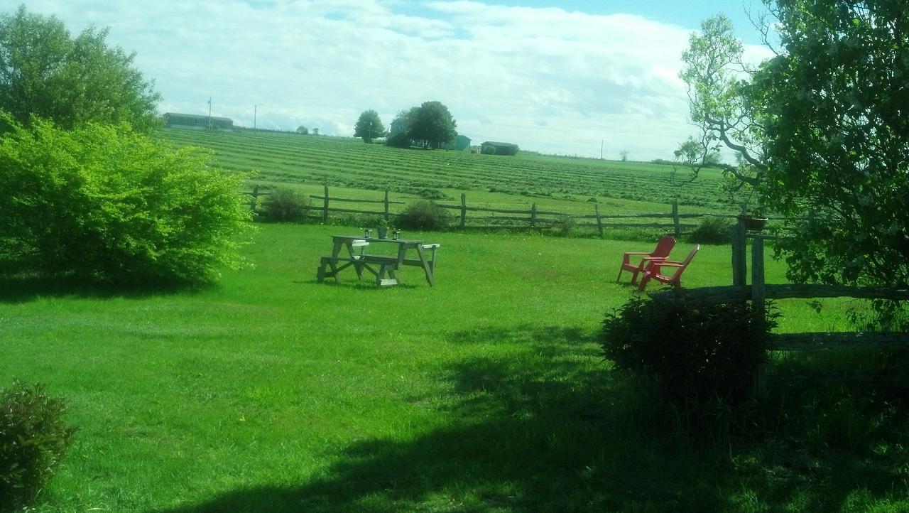 Lovely Green Gable Home Miscouche Extérieur photo